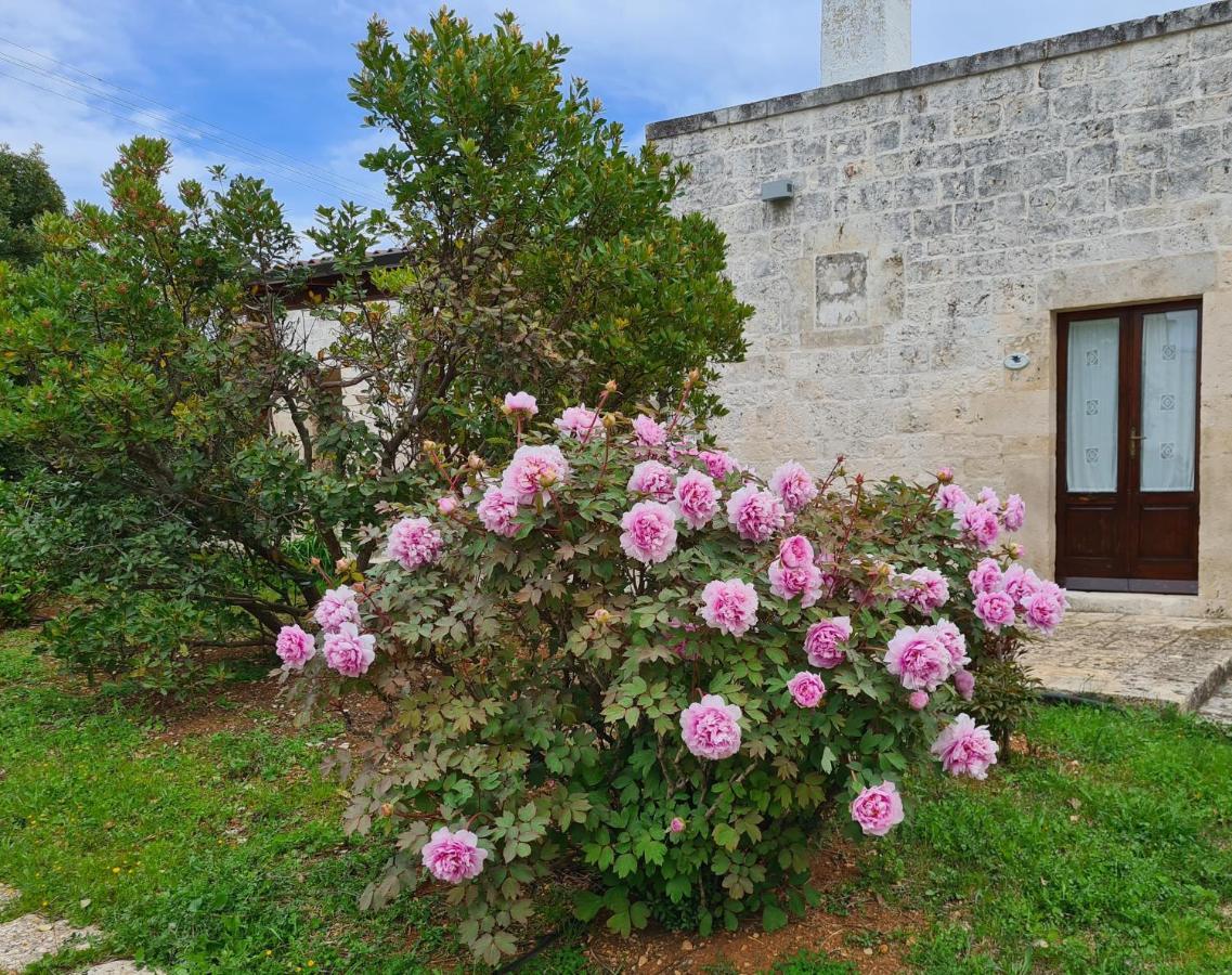 Masseria Montecchie Ceglie Messapica Exterior photo