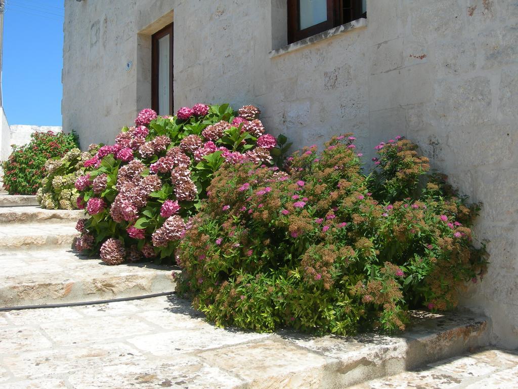 Masseria Montecchie Ceglie Messapica Exterior photo