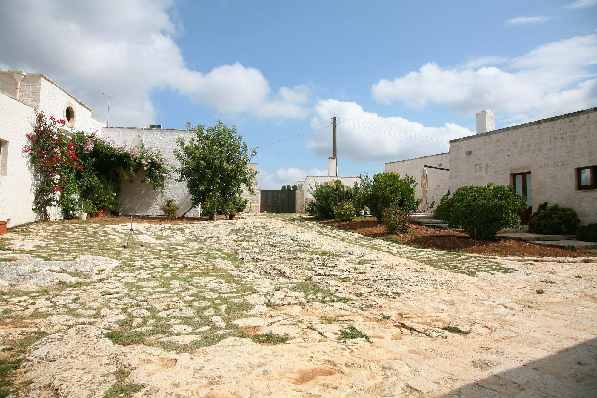 Masseria Montecchie Ceglie Messapica Exterior photo